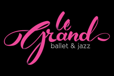 Logo_LeGrand_Nivel2